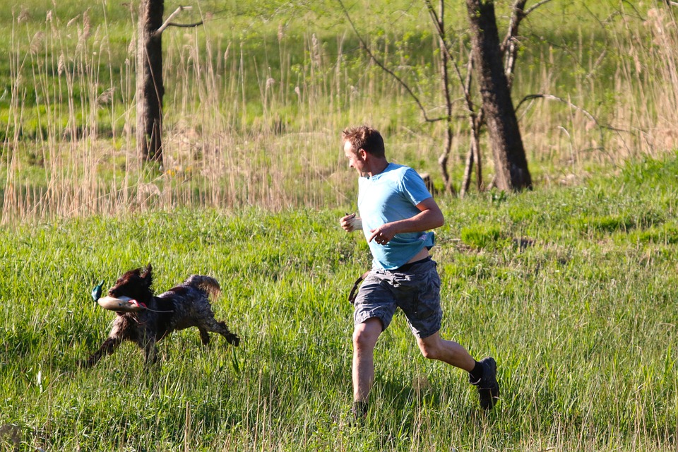 man trains a dog